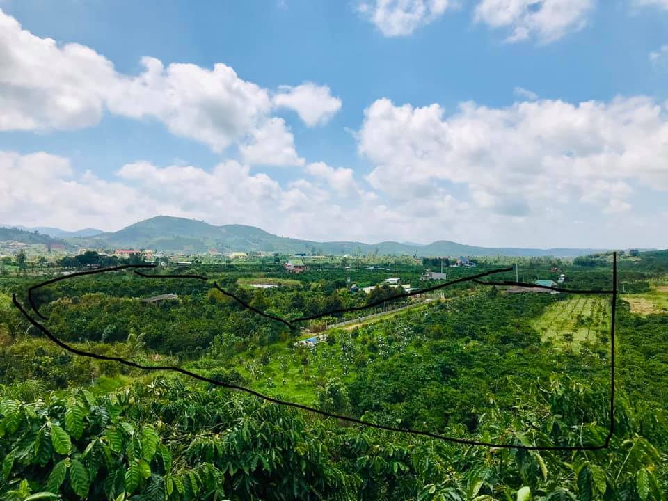 Đất vườn thích hợp làm nông trại nghỉ dưỡng tại Xã Đại Lào Bảo Lộc
