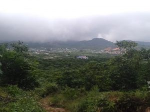 Bán đất vườn - trang trại tại Lộc Châu, Thành Phố Bảo lộc