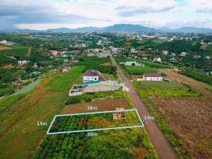 Bán lô đất biệt thự mặt tiền đường Tản Đà - Đambri