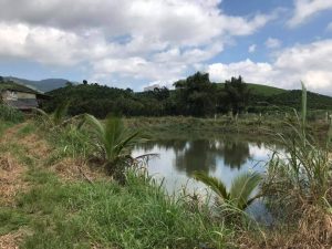 Đất vườn thích hợp làm nông trại nghỉ dưỡng tại Xã Đại Lào Bảo Lộc