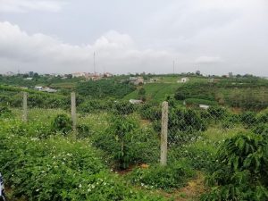 Đất nền nghỉ dưỡng Đambri- Bảo Lộc