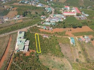 Bán đất nền giá rẻ hẻm 212 Lý Thái Tổ, Dambri, Bảo Lộc