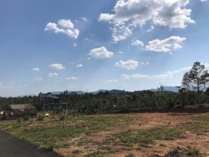 Bán lô đất hẻm nhựa Đinh Công Tráng, Xã Lộc Châu, Thành phố Bảo Lộc