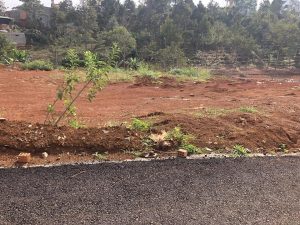 Bán lô đất hẻm 47 Trần Nguyên Hãn, Dambri, Bảo Lộc