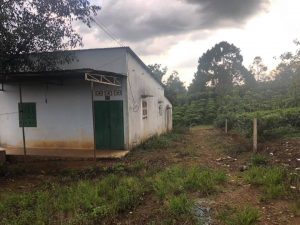 Bán đất vườn diện tích 3669m2 hẻm 234 Lê Phụng Hiểu, Lộc Tiến, Bảo Lộc