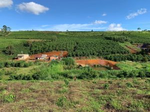 Bán 1,1ha đất tại hẻm Lý Thái Tổ, thôn 10, xã Đambri, Bảo Lộc