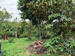 Nhà hẻm Đường Trần Hưng Đạo, Phường Lộc Sơn, Bảo Lộc