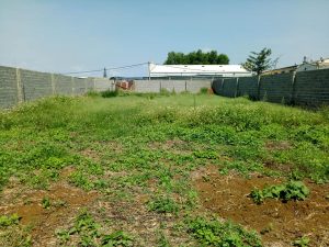 Bán đất nền hẻm Phạm Ngọc Thạch, Lộc Phát, Bảo Lộc