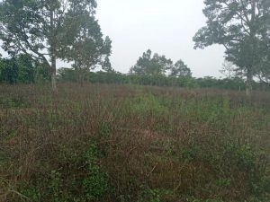 Lô đất gần ngã tư Phùng Hưng và Phan Đình Phùng - phường Lộc Tiến