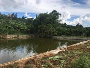 Bán 7 sào hẻm Trần Nhật Duật Phường 2 Bảo Lộc Lâm Đồng