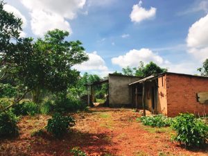 Bán 2 sào 3 đất vườn đẹp tại phường Lộc Phát Bảo Lộc Lâm Đồng