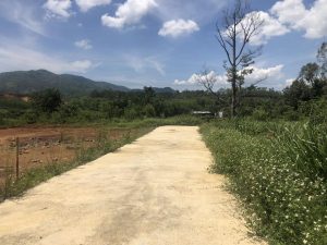 Đất nền hẻm 41 Đinh Công Tráng, Xã Lộc Châu, Bảo Lộc