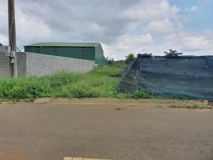 Đất nền biệt thự khu Tái Định Cư Phạm Ngọc Thạch, Lộc Phát, Bảo Lộc