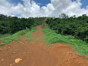 Cần bán 7 sào đất vườn đường nhánh Nguyễn An Ninh, Dambri, Bảo Lộc