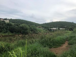 Đất vườn Hẻm đường Nguyễn Văn Cừ Lộc Phát Bảo Lộc Đất giáp sông Đại Nga