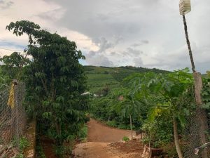 1,4 ha đất vườn nhánh Nguyễn An Ninh Dambri Bảo Lộc