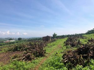 Lô đất nền 500m2 hẻm 447 Lý Thường Kiệt Lộc Phát Bảo Lộc