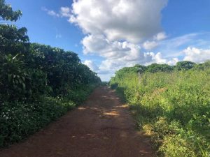 Đất nền hẻm 447 Lý Thường Kiệt Bảo Lộc