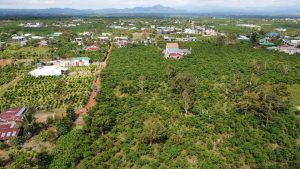 Đất vườn sát hồ hẻm Đoàn Thị Điểm - Lộc Phát - Bảo Lộc