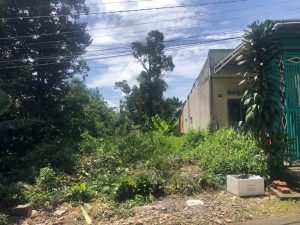 Đất nền thổ cư mặt tiền Đường Lê Văn Tám Phường 2 Bảo Lộc