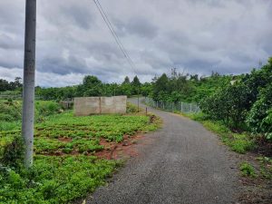 Đất vườn hẻm bê tông 6m đường Lam Sơn - Lộc Sơn - Bảo Lộc - Lâm Đồng