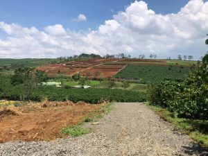 Đất nền hẻm 128 Tản Đà Lộc Phát Bảo Lộc