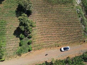 Đất nền thổ cư liền kề hẻm 75 Trần Tế Xương Dambri Bảo Lộc