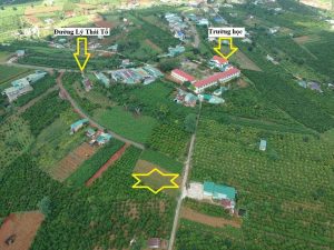 Đất nền thổ cư Hẻm 226 Lý Thái Tổ, Đambri, Bảo Lộc