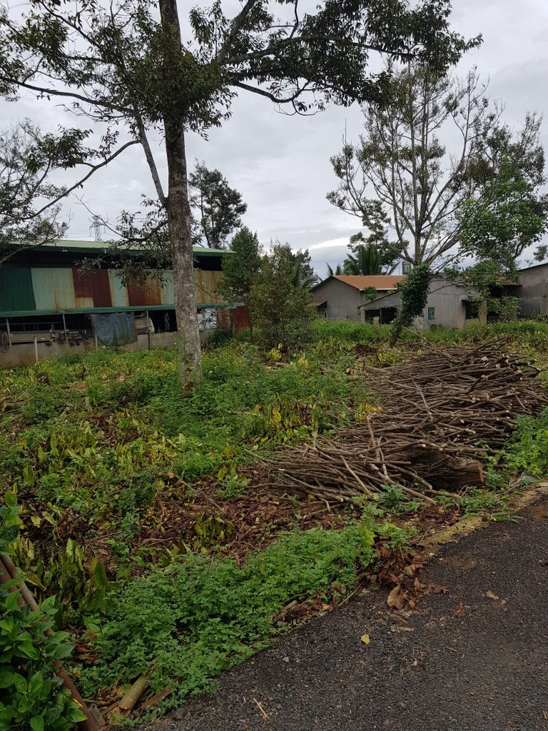 Đất nền giá rẻ hẻm 414 Trần Hưng Đạo, Phường Lộc Sơn, Bảo Lộc