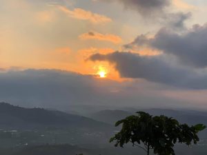 Bán đất vườn cà phê đẹp tại Thôn 16 Lộc Thành Bảo Lâm