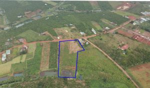 Bán 7,6 sào đất đẹp giá rẻ tại Đambri Bảo Lộc