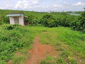 Đất vườn 3,5 sào cây ăn trái trung tâm phường Lộc Phát Bảo Lộc