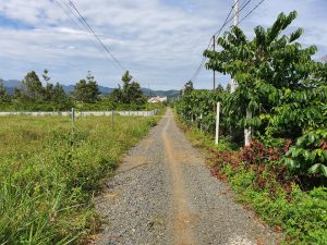 Bán 5 sào với 100m mặt tiền hẻm Lê Thị Riêng Bảo Lộc