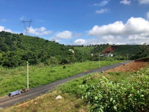 Đất nền hẻm 402 Phan Đình Phùng Lộc Tiến Bảo Lộc