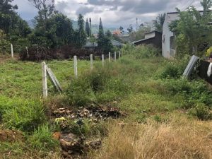 Đất nền hẻm 88 Đường 1/5 Phường Blao Bảo Lộc