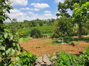 Bán 1 mẫu cây ăn trái có 02 thác tại Phường Blao Bảo Lộc Lâm Đồng