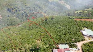 Bán gấp 2 ha vườn hẻm Đoàn Thị Điểm - Lộc Phát - Bảo Lộc