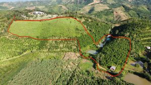 Cần bán gấp 2ha2 đát vườn Thôn 10 Lộc Nam Bảo Lâm