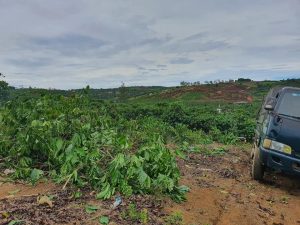 Bán 3,7 sào đất vườn hẻm Lý Thường Kiệt Lộc Phát Bảo Lộc