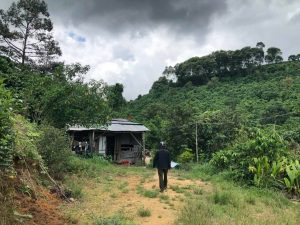 Bán 1,8ha vườn cà phê thôn 10 Lộc Nam Bảo Lâm