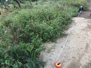 Đất nền đẹp giá rẻ hẻm Nguyễn Tuân Lộc Tiến Bảo Lộc