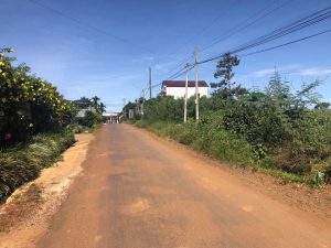 Đất nền thổ cư mặt tiền hẻm 1182 Nguyễn Văn Cừ Bảo Lâm