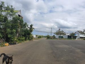 Bán nhà cấp 4 khu Phạm Ngọc Thạch Lộc Phát Bảo Lộc