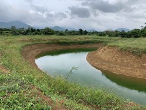 Đất vườn đẹp Thôn 11 xã Đại Lào Thành Phố Bảo Lộc Tỉnh Lâm Đồng