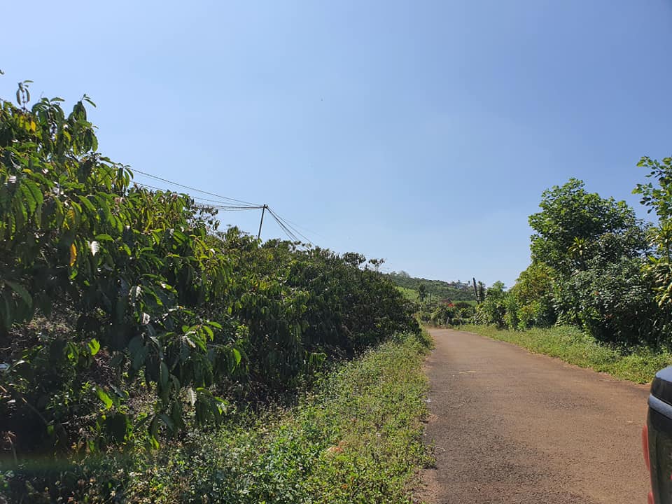 Đất vườn mặt tiền Tản Đà Đambri Bảo Lộc Lâm Đồng