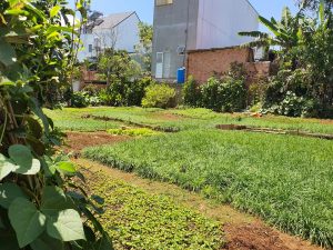 Đất nền hẻm 248 Bùi Thị Xuân Phường 1 Bảo Lộc Lâm Đồng