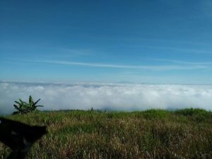 Bán 1ha3 Thôn 16 Lộc Thành View Săn mây