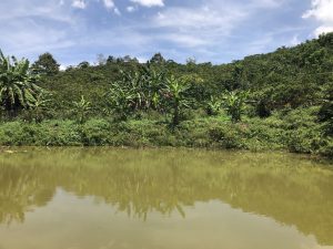 Bán 1ha2 tại Lộc Nga Bảo Lộc Lâm Đồng