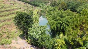 Bán 5,1 sào tại Hẻm 106 - Đoàn Thị Điểm - Lộc Thanh - Bảo Lộc