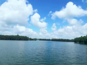 Bán 4 sào nhà vườn, 45 m mặt tiền Hồ Cánh Bướm Bảo Lâm